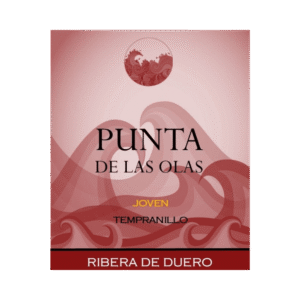 Punta De La Olas Joven 2019